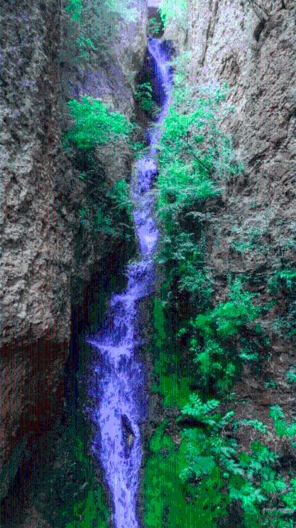 梦想的后院